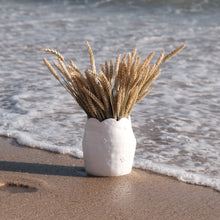 Carregar imagem no visualizador da galeria, Aurore Vase